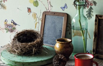 Woodland Walk Wallpapers