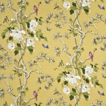 Strong Yellow Ivory