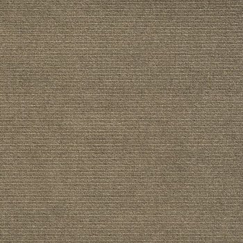 Cigar