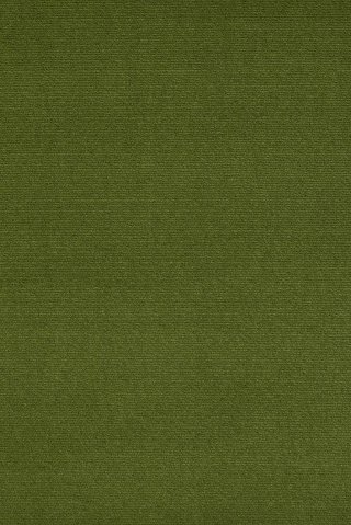 Palm Leaf
