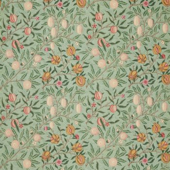 Privet Thyme