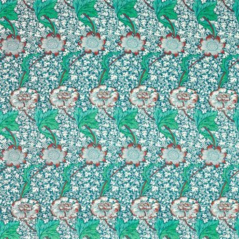 Aqua Pink