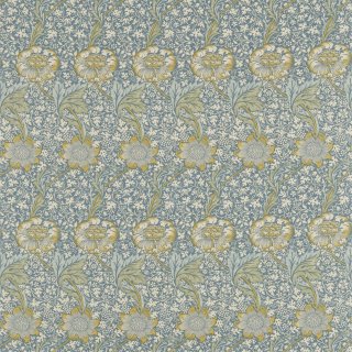 SeaBlue Lichen