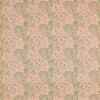 Olive Pink