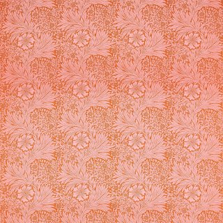 Orange Pink