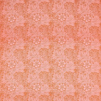 Orange Pink