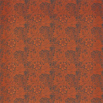 Navy Burnt Orange