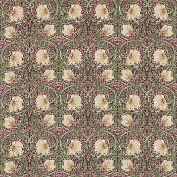 Aubergine Olive