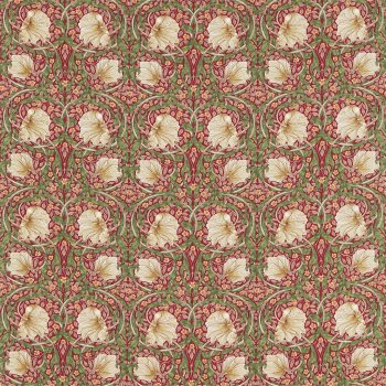 Red Thyme