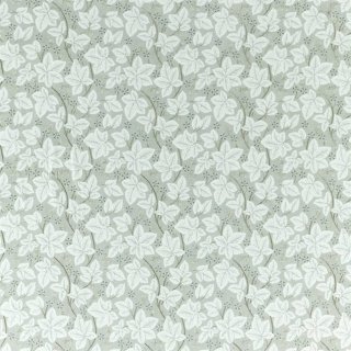 Lightish Grey