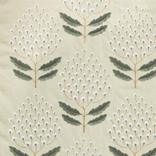 Silver Fern