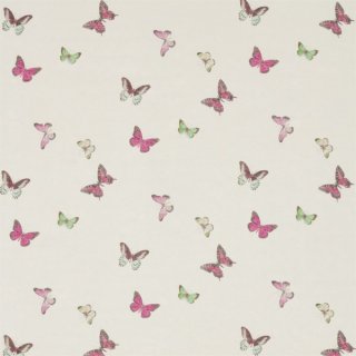Fuchsia Cream