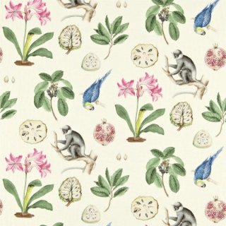 Chintz