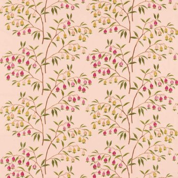 Peach Blossom