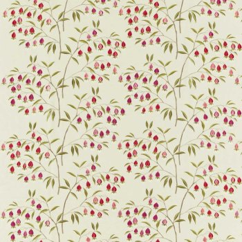 Wild Plum