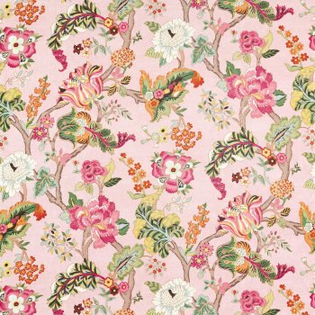 Peach Blossom