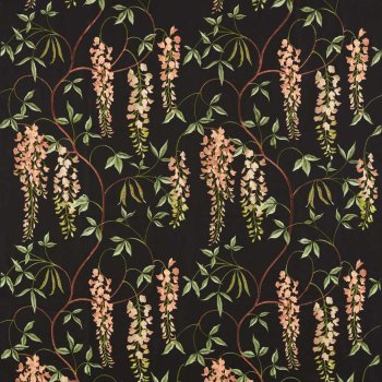 Ebony & Inkwood