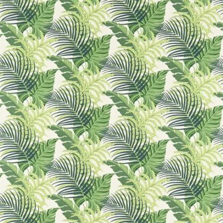 Green Ivory