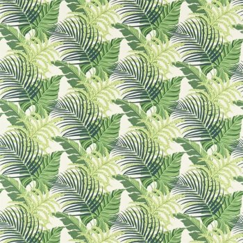 Green Ivory