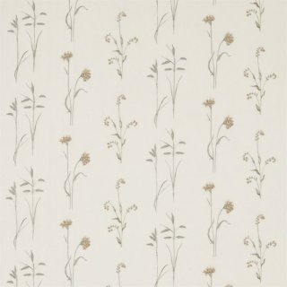 Sage Honey