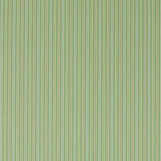 Fern