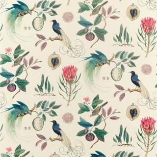Fig Indigo