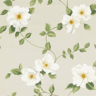 Linen