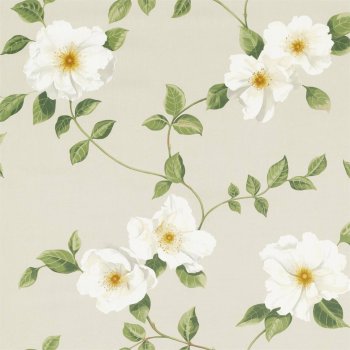 Linen
