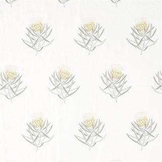 Daffodil Natural