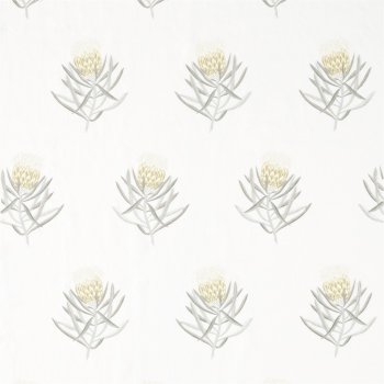 Daffodil Natural