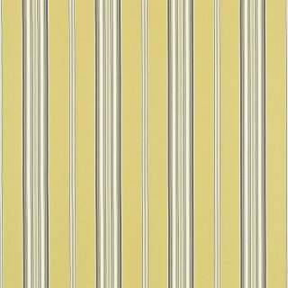 Yellow Indigo