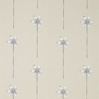 Linen Graphite