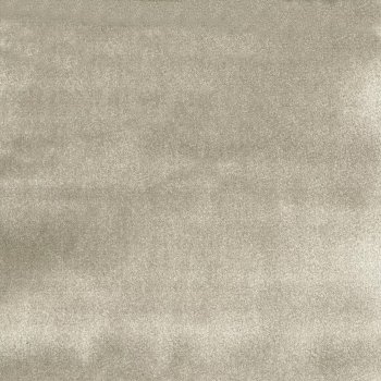 Fossil