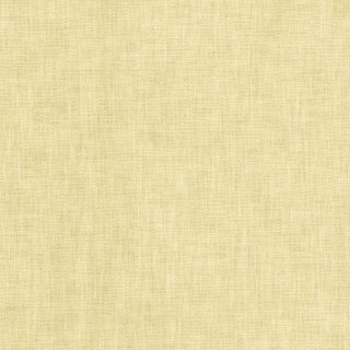 Maize