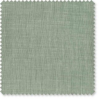 Eucalyptus