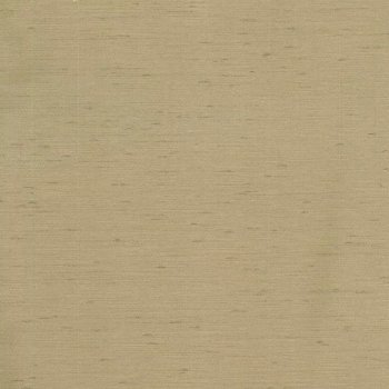 Cornsilk