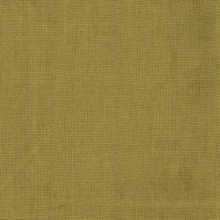 Wasabi