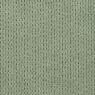 Spearmint