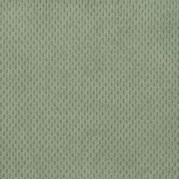 Spearmint