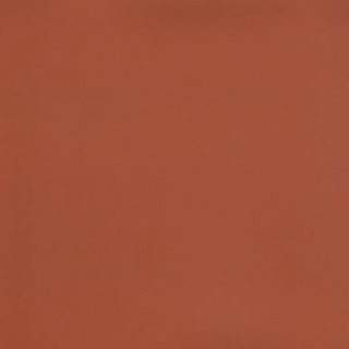 Tandoori
