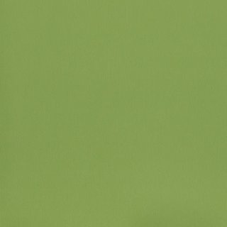 Wasabi