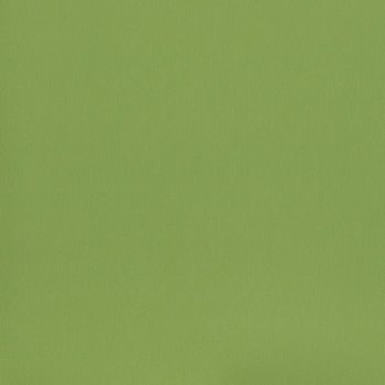 Wasabi