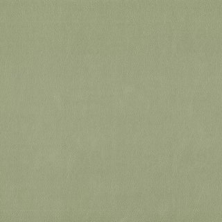 Seafoam