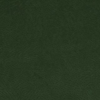 Eucalyptus