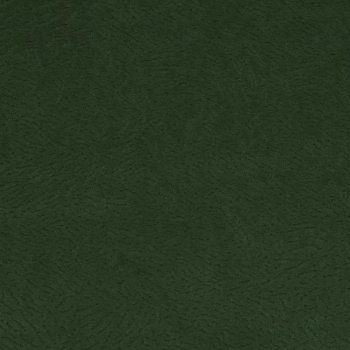 Eucalyptus
