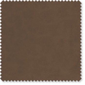 Bison