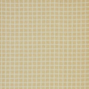 Custard
