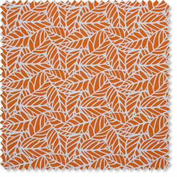 Melon