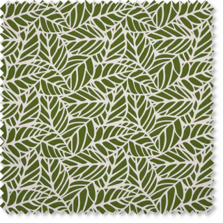 Palm
