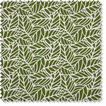 Palm